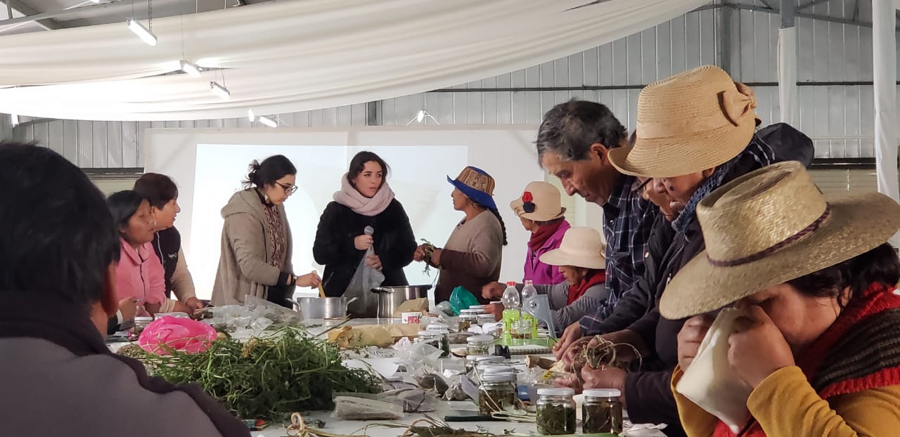 Agricultores de Precordillera elaboran productos artesanales a base de hierbas medicinales