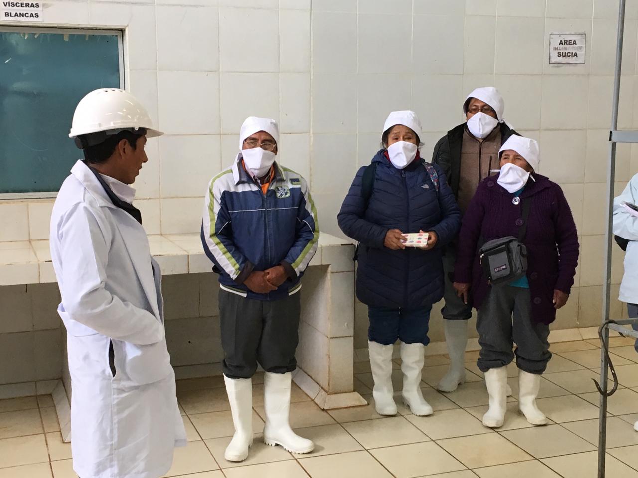 Ganaderos realizan gira técnica de camélidos Sudamericanos a Oruro